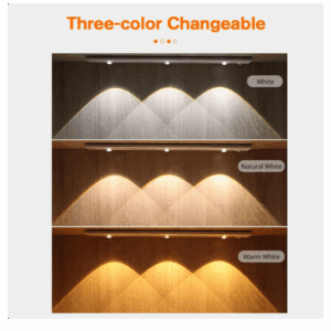 intellegin led2