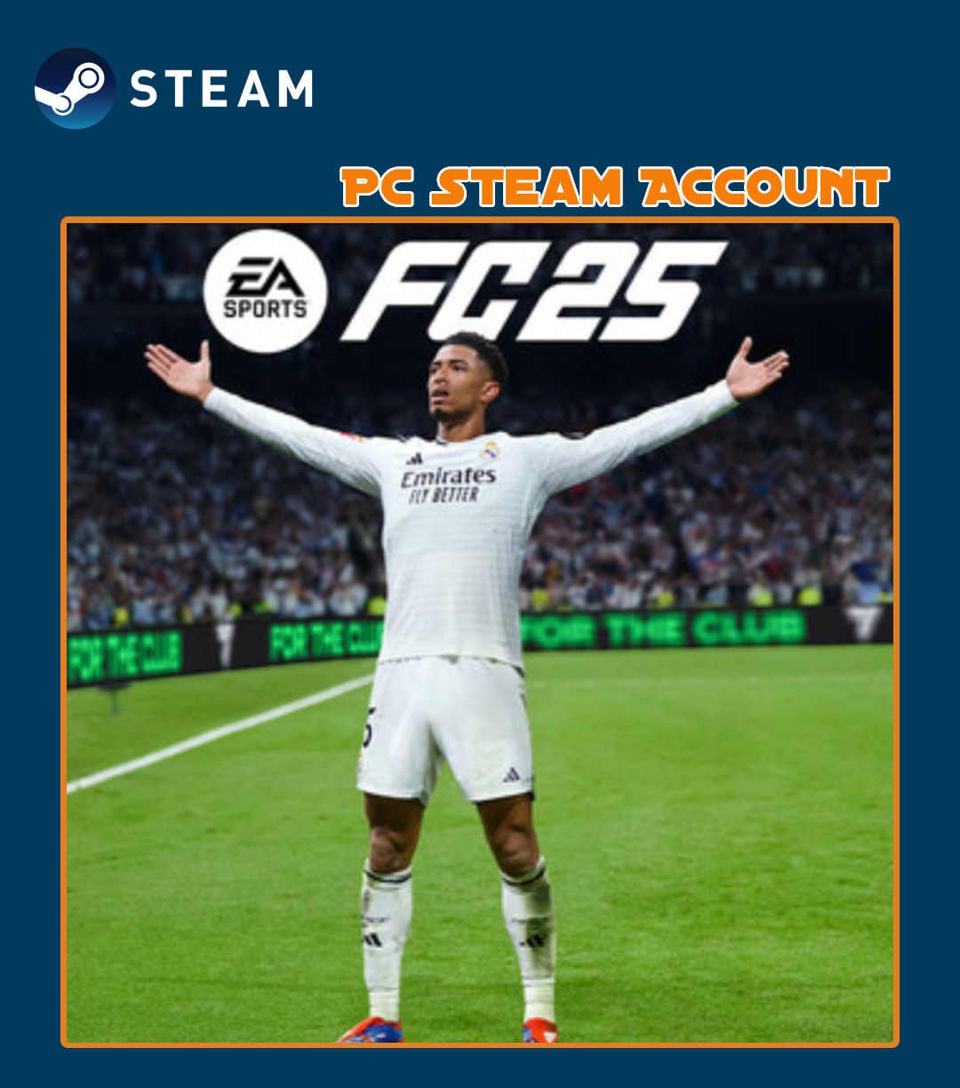 EA SPORTS FC 25 – Compte Steam pour PC (Jeu préinstallé)