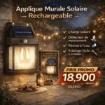 Lampe Murale Solaire 888 avec Détecteur de Mouvement – Éclairage LED Extérieur Étanche