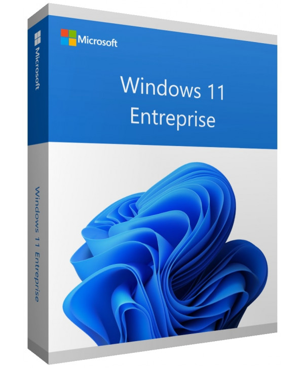 Microsoft Windows 11 Entreprise – 64 bits (Clé d’activation)