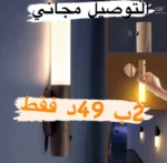 promo 2 Lampe LED à Induction Intelligente – Éclairage Automatique