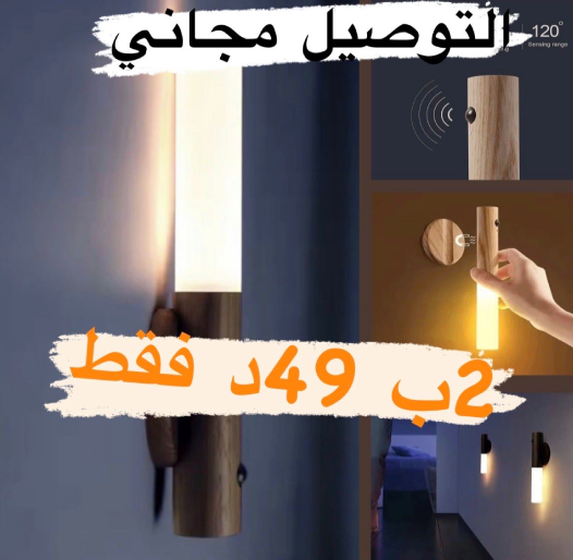 promo 2 Lampe LED à Induction Intelligente – Éclairage Automatique