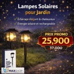 Lampe Solaire Extérieure LED – Éclairage de Jardin Étanche avec Piquet