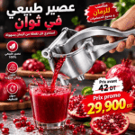Presse-Agrumes Manuel – Jus Frais Naturel et Plein de Vitamines