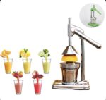 Extracteur de Jus Manuel à Froid en Acier Inoxydable Haut de Gamme