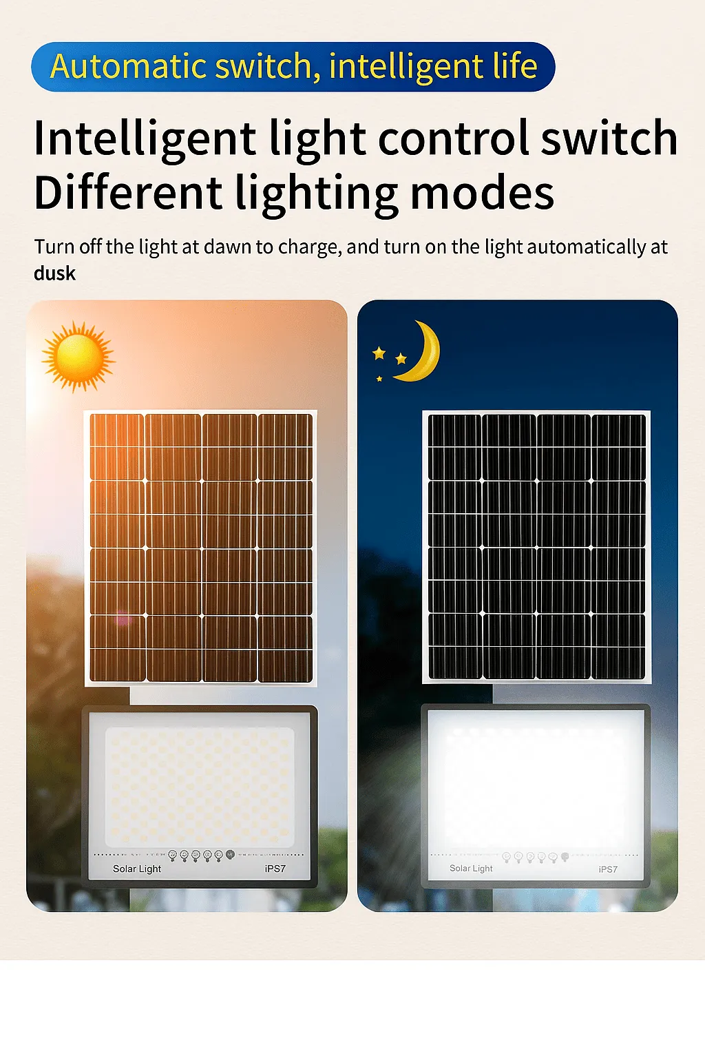 80d261e7 069a 4052 8808 05c02fa56a8e