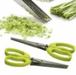 Ciseaux à Herbes de 5 Lames en Acier Inoxydable