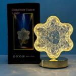 Lampe de Table Décorative Rechargeable – Forme Fleur