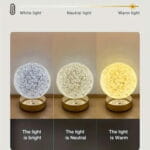 Lampe de Table de Chevet Ronde – Gradation LED – Image 3