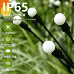 Lampes de Jardin Solaires à LED – Lumière Blanche Chaude – Image 3