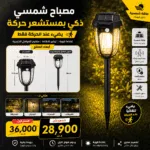 Lampe Solaire LED avec Détecteur de Mouvement IP65