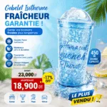 Gobelet Isotherme 450 ML Double Paroi avec Paille